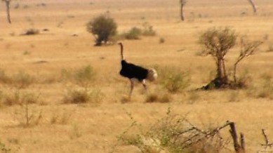 SAM_0041_renamed_28066